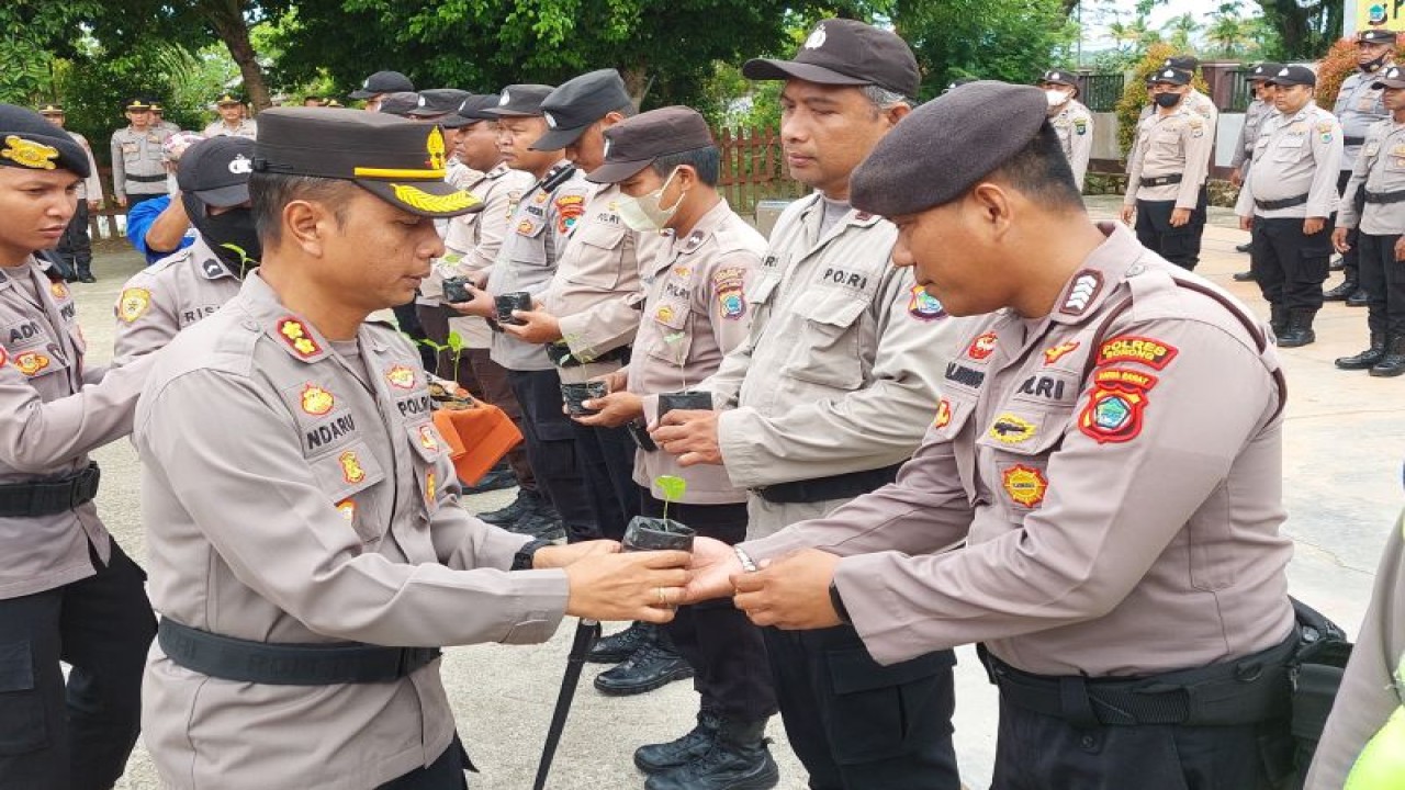 Kapolres Sorong AKBP Yohanes Agustiandaru membagikan anakan cabe kepada masing-masing anggota untuk menanam, Kamis (6/4). (ANTARA/Yuvensius Lasa Banafanu)