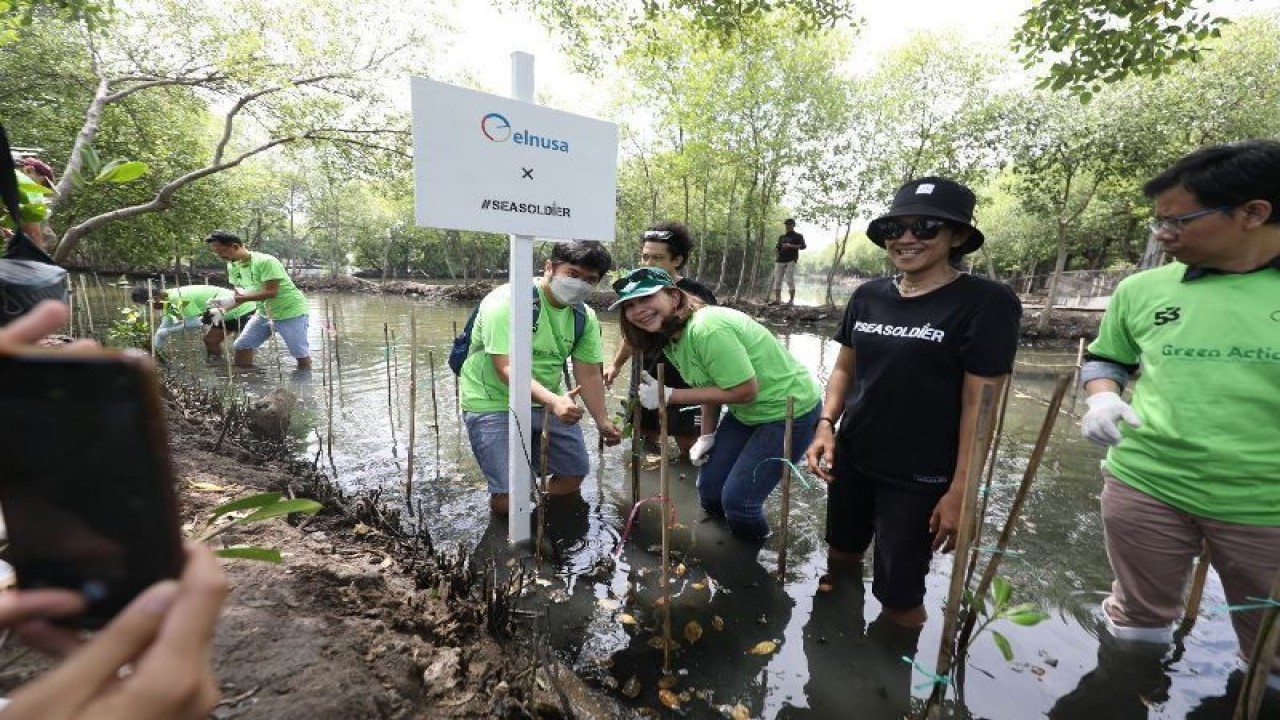 Sejumlah karyawan PT Elnusa Tbk, (ELNUSA IDX: ELSA) menamam mangrove di Pantai Tanjung Pasir, Tangerang , Banten untuk mencegah abrasi pantai. ANTARA/HO-Humas Elnusa.