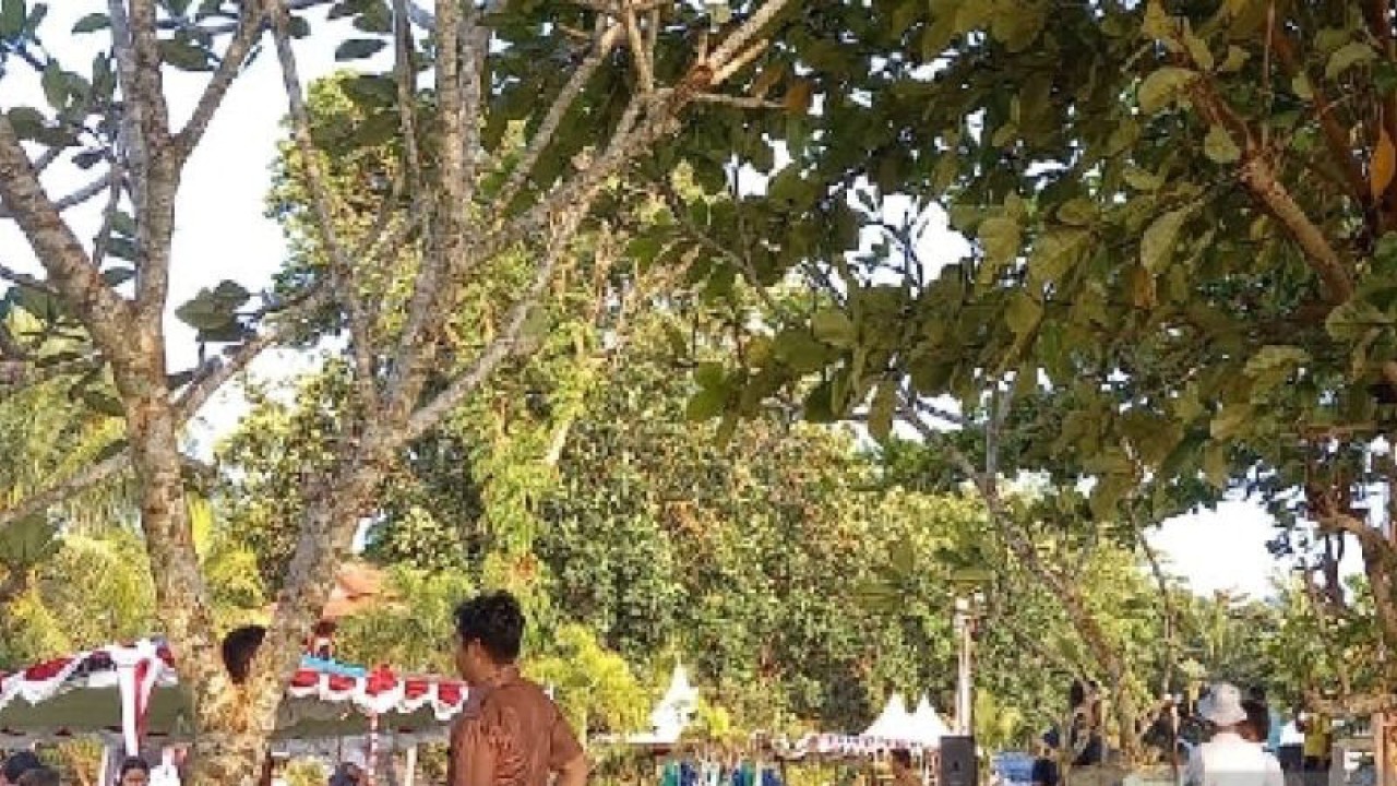 Dinas Pariwisata Biak Numfor menyiapkan lokasi pameran bagi pelaku UMKM pada Festival Gerhana Matahari Hibrida berlangsung 17-20 April 2023. ANTARA/HO-Humas