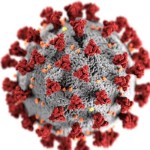 Virus SARS-CoV-19 (ANTARA/HO-Centers for Disease Control and Prevention (CDC))-1681466801