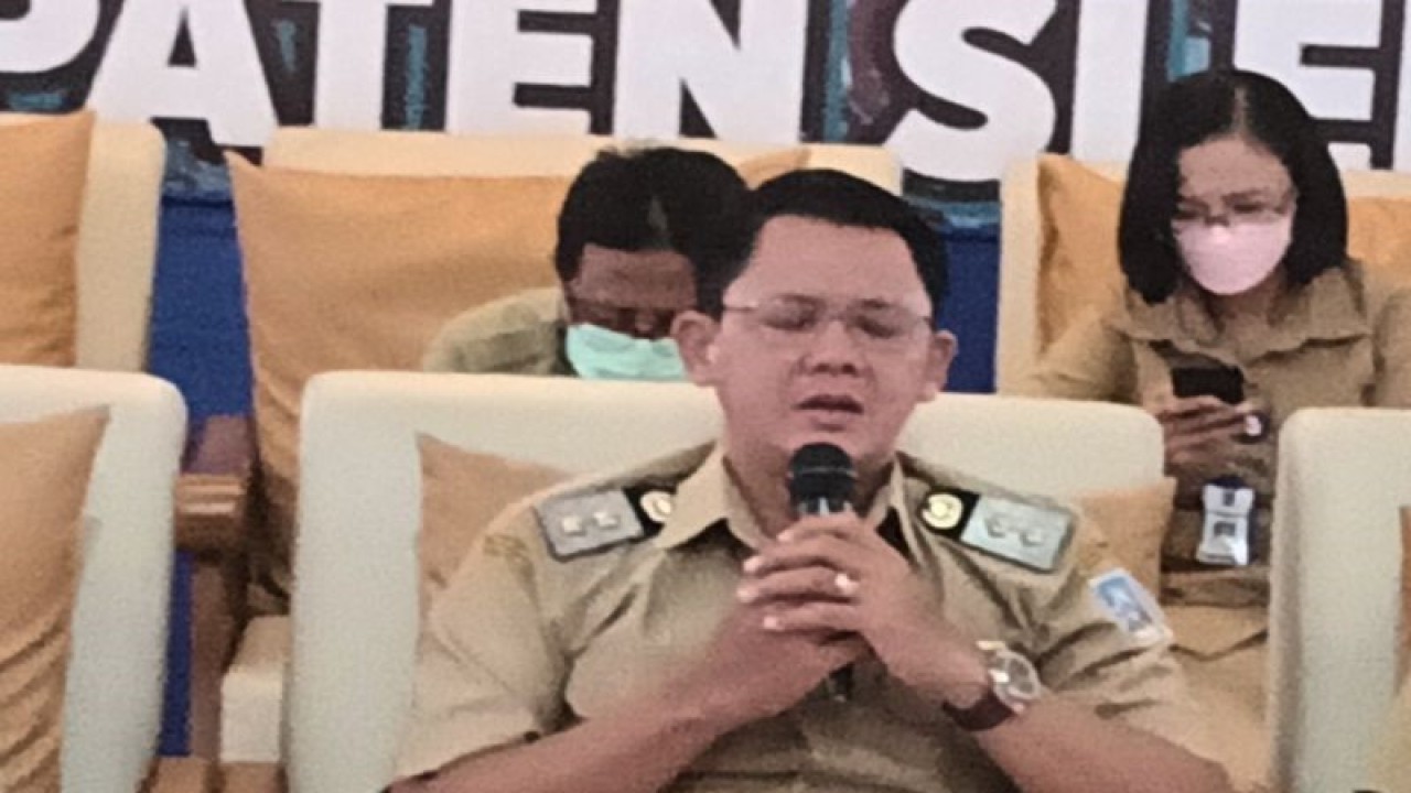 Wakil Bupati Sleman Danang Maharsa. ANTARA/Victorianus Sat Pranyoto