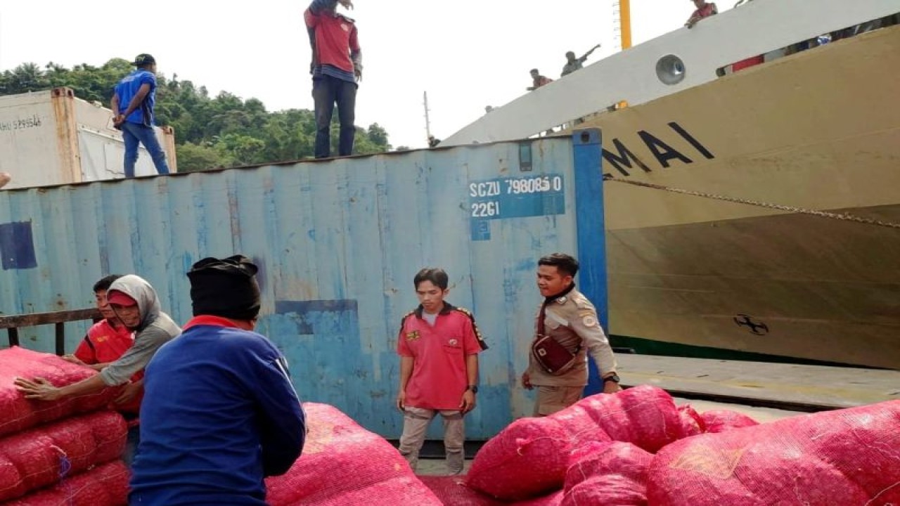 Petugas Karantina Pertanian Jayapura saat melakukan pemerinksaan terhadap bawang putih di pelabuhan laut. (HO-Humas Karantina Pertanian Jayapura)