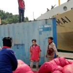 102.800 kilogram bawang putih dari Surabaya masuk Jayapura-1683104480