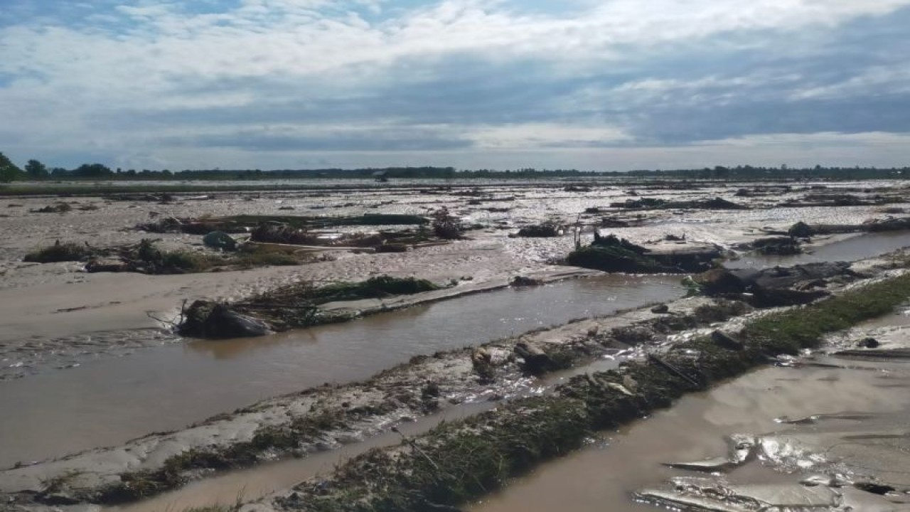 Areal persawahan dipenuhi material lumpur dan potongan kayu akibat dampak banjir menerjang Kecamatan Balinggi dan Torue Kabupaten Parigi Moutong, Sulawesi Tengah, Selasa (30/5/2023). ANTARA/HO-BPBD Parigi Moutong