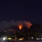 99 hektare lahan di NTT terbakar selama Januari-Maret 2023-1683538962