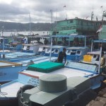 Aktifitas kapal di wilayah pesisir pulau Ambon. ANTARA/ Penina F Mayaut.-1683873846