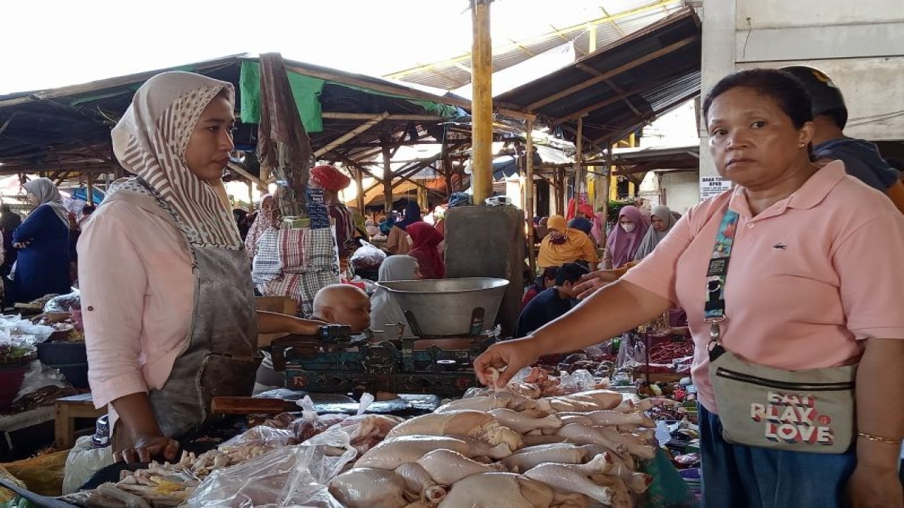 Aktivitas pedagang ayam broiler di Pasar Kebon Roek Kota Mataram, Provinsi Nusa Tenggara Barat. (ANTARA/Nirkomala)