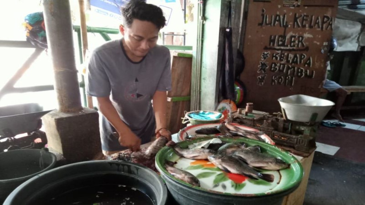 Aktivitas pedagang ikan air tawar jenis nila di Pasar Dasan Agung, Kota Mataram, Provinsi Nusa Tenggara Barat. (ANTARA/Nirkomal)