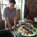 Aktivitas pedagang ikan air tawar jenis nila di Pasar Dasan Agung, Kota Mataram, Provinsi Nusa Tenggara Barat. (ANTARA/Nirkomal)-1685345313