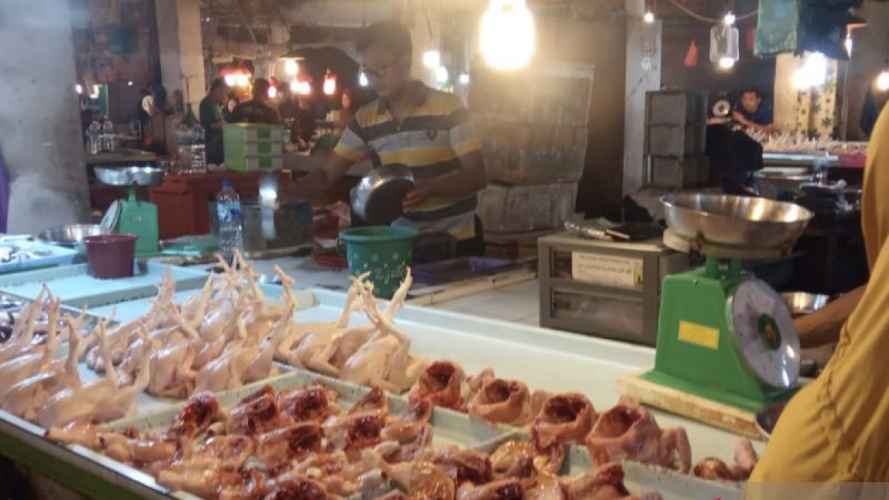 Kedai penjual daging ayam segar di pasar tradisional di Kota Batam, Kepri (ANTARA/Jessica)