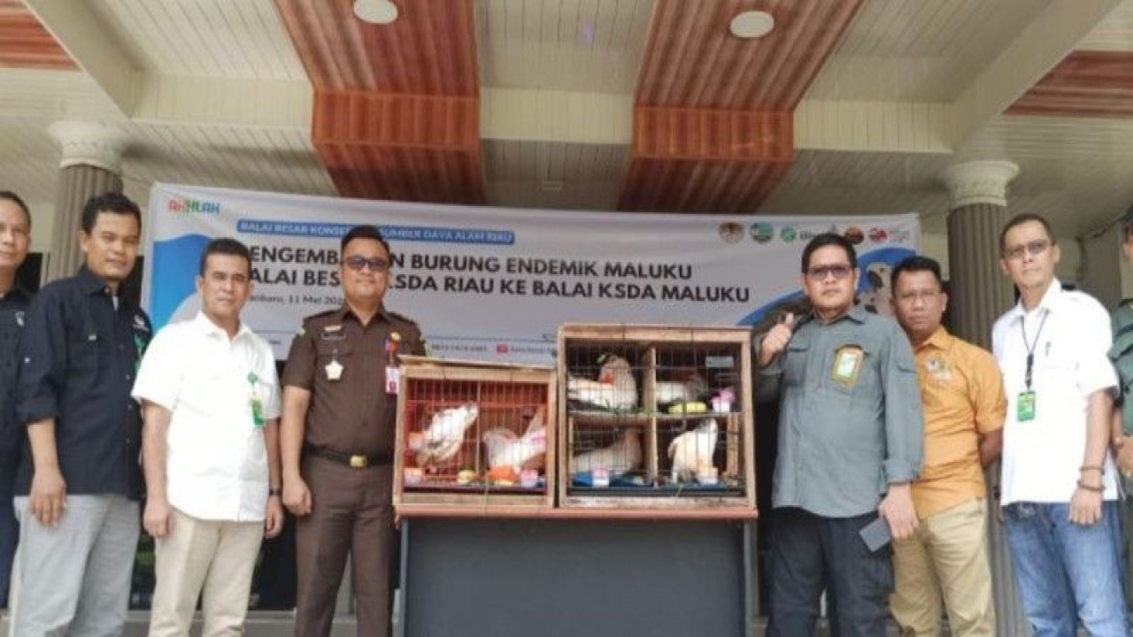 BBKSDA Riau dan Kejari Dumai saat Konfrensi Pers pengembalian burung endemik Maluku hasil penegakan hukum dan pengembalian masyarakat. (ANTARA/Annisa Firdausi)