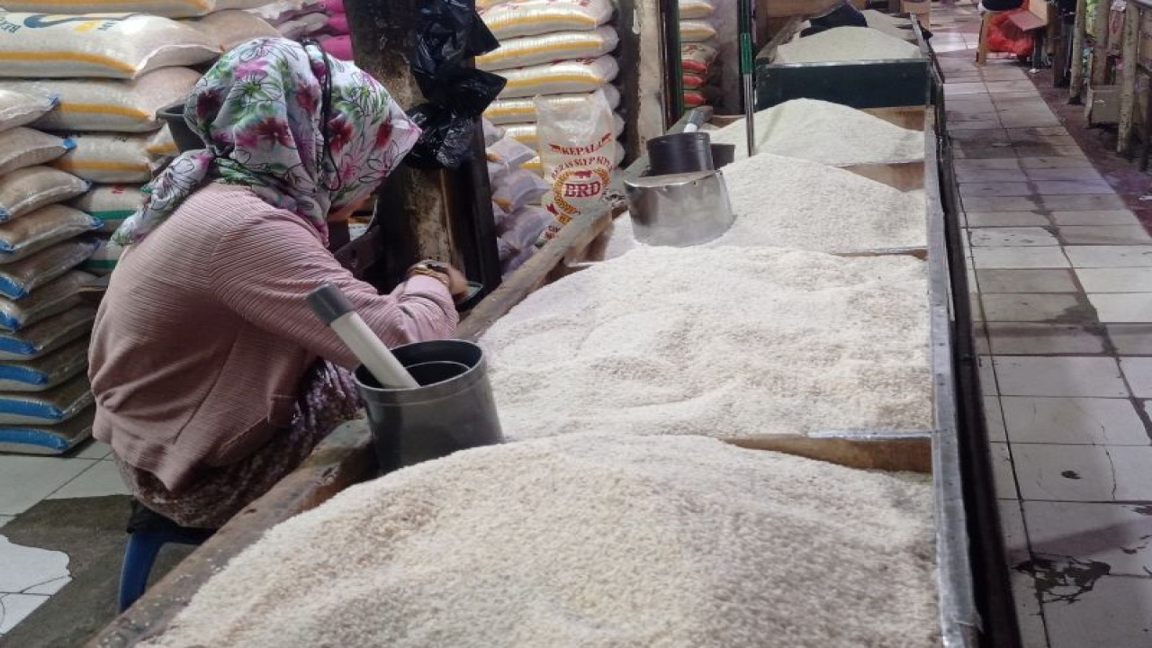Pedagang beras di Pasar Rangkasbitung Kabupaten Lebak terpenuhi permintaan konsumsi masyarakat karena persediaan melimpah dari hasil panen surplus. ANTARA/Mansur