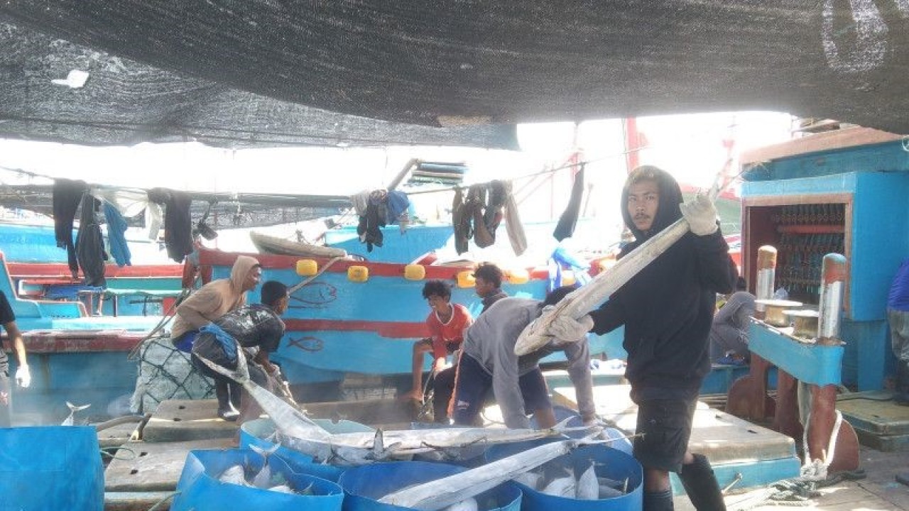 Arsip foto - Sejumlah nelayan membongkar muatan ikan di Pelabuhan Umum Benoa, Denpasar, Bali, Rabu (10/5/2023) ANTARA/Dewa Ketut Sudiarta Wiguna