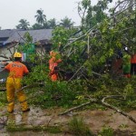 BPBD: 19 pohon tumbang di Agam mengakibatkan 10 rumah terdampak-1683621511