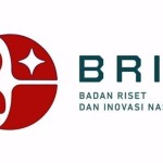 BRIN-APEC bahas adopsi kecerdasan buatan dalam penanganan COVID-19-1683615647