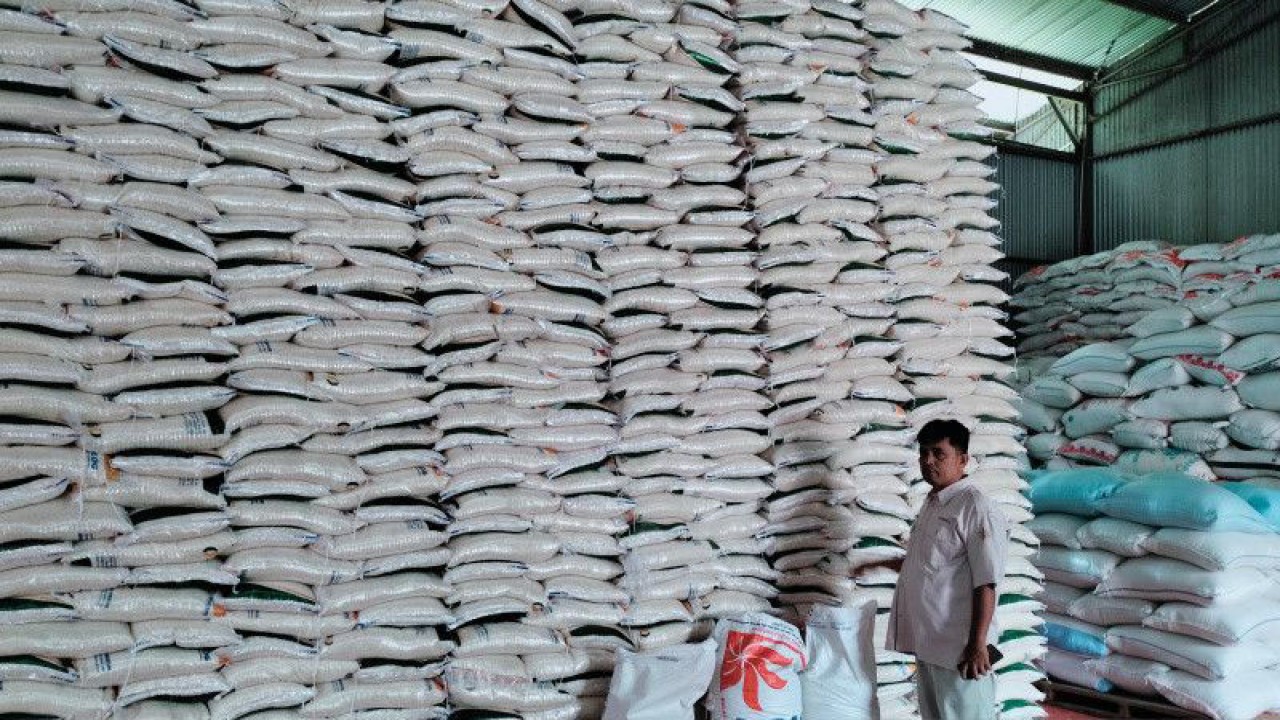 Stok beras yang ada di Gudang Bulog cabang Rejang Lebong, Provinsi Bengkulu. ANTARA/Nur Muhamad