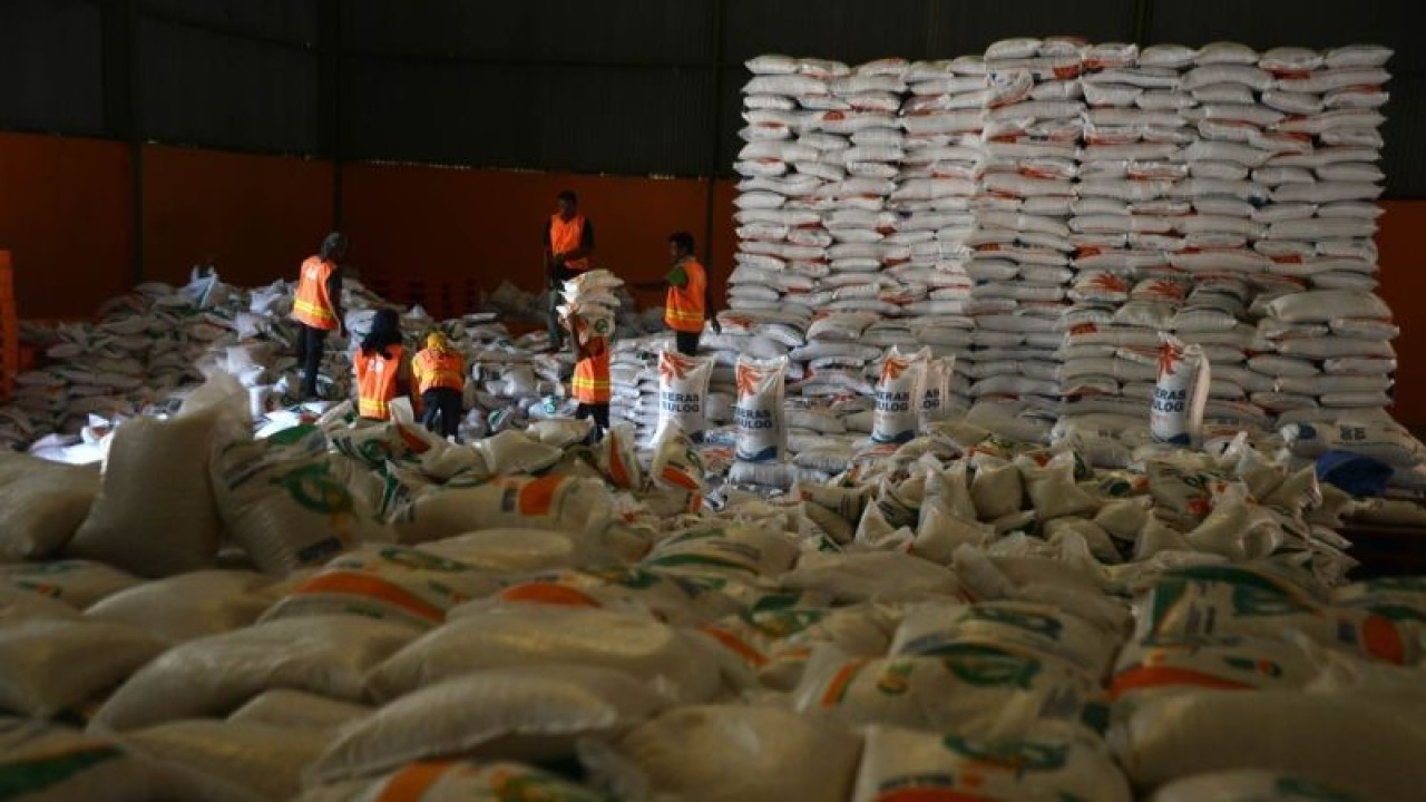 Pekerja menata beras dalam karung di gudang penyimpanan Kantor Wilayah Perum Bulog Aceh, di kabupaten Aceh Besar, Aceh, Selasa (16/5/2023). Kanwil Perum Bulog di daerah itu mencatat hingga Mei 2023 capaian serapan beras petani hasil panen raya sebanyak 2.418 ton dan gabah kering giling (GKG) sebanyak 2.430 ton, sedangkan total stok beras saat ini sebanyak 8.200 ton. (ANTARA/Ampelsa.)