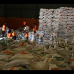 Bulog: Aceh dapat kuota beras impor sebesar 13.400 ton-1684230658