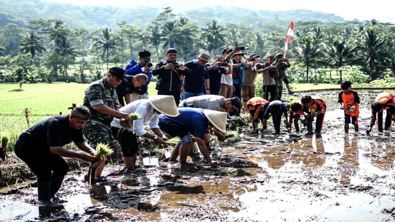 Bupati Ciamis Herdiat Sunarya bersama pelajar melakukan kegiatan tanam padi perdana inovasi Anjani Merakit Gamis di Desa Janggalaharja, Kecamatan Rancah, Kabupaten Ciamis, Jawa Barat, Jumat (19/5/2023). (ANTARA/HO-Humas Pemkab Ciamis)