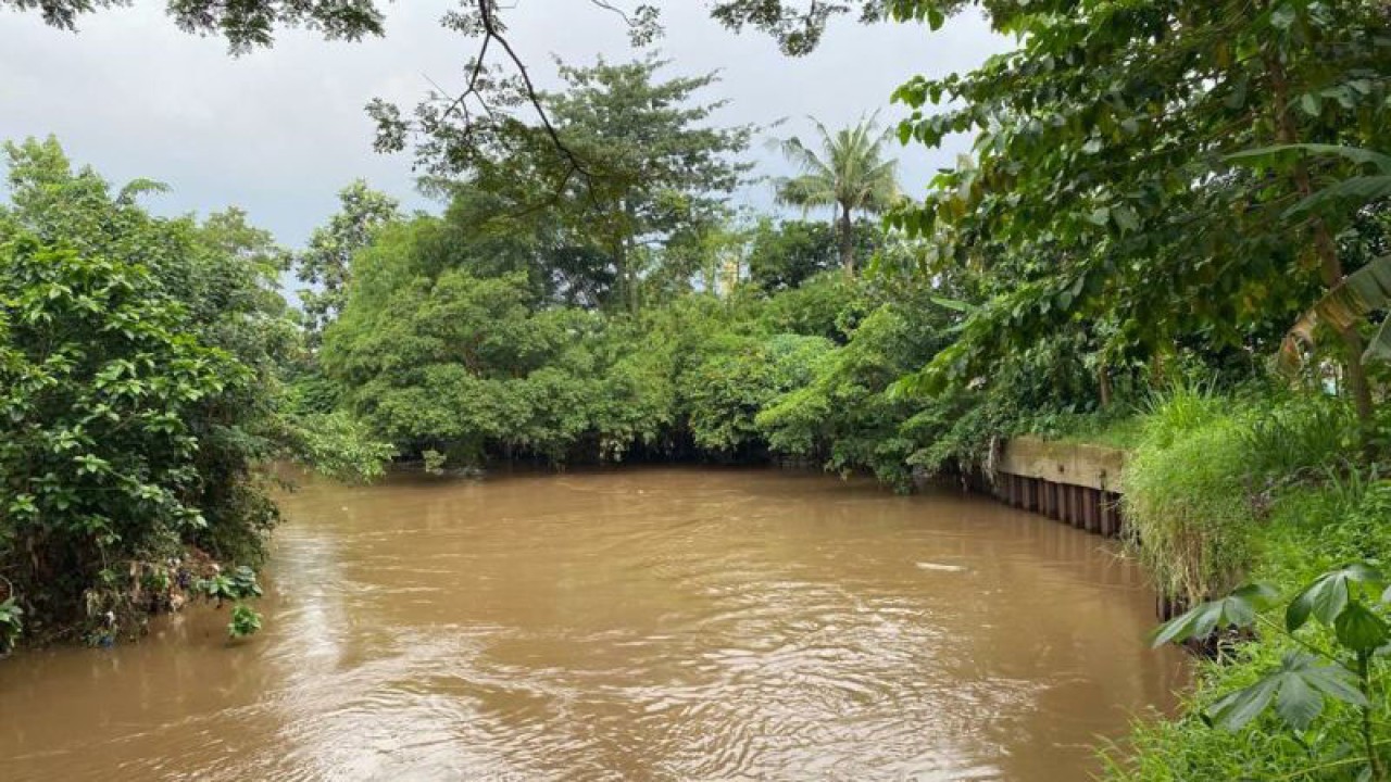 Pemandangan sungai Ciliwung yang letaknya dekat pemukiman warga di kawasan Rawajati, Jakarta Selatan, Senin (8/5/2023). ANTARA/Luthfia Miranda Putri