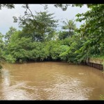 Ciliwung-1683553310