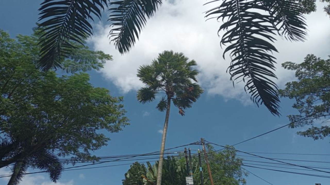 Cuaca cerah di wilayah Nusa Tenggara Barat (ANTARA/Akhyar)