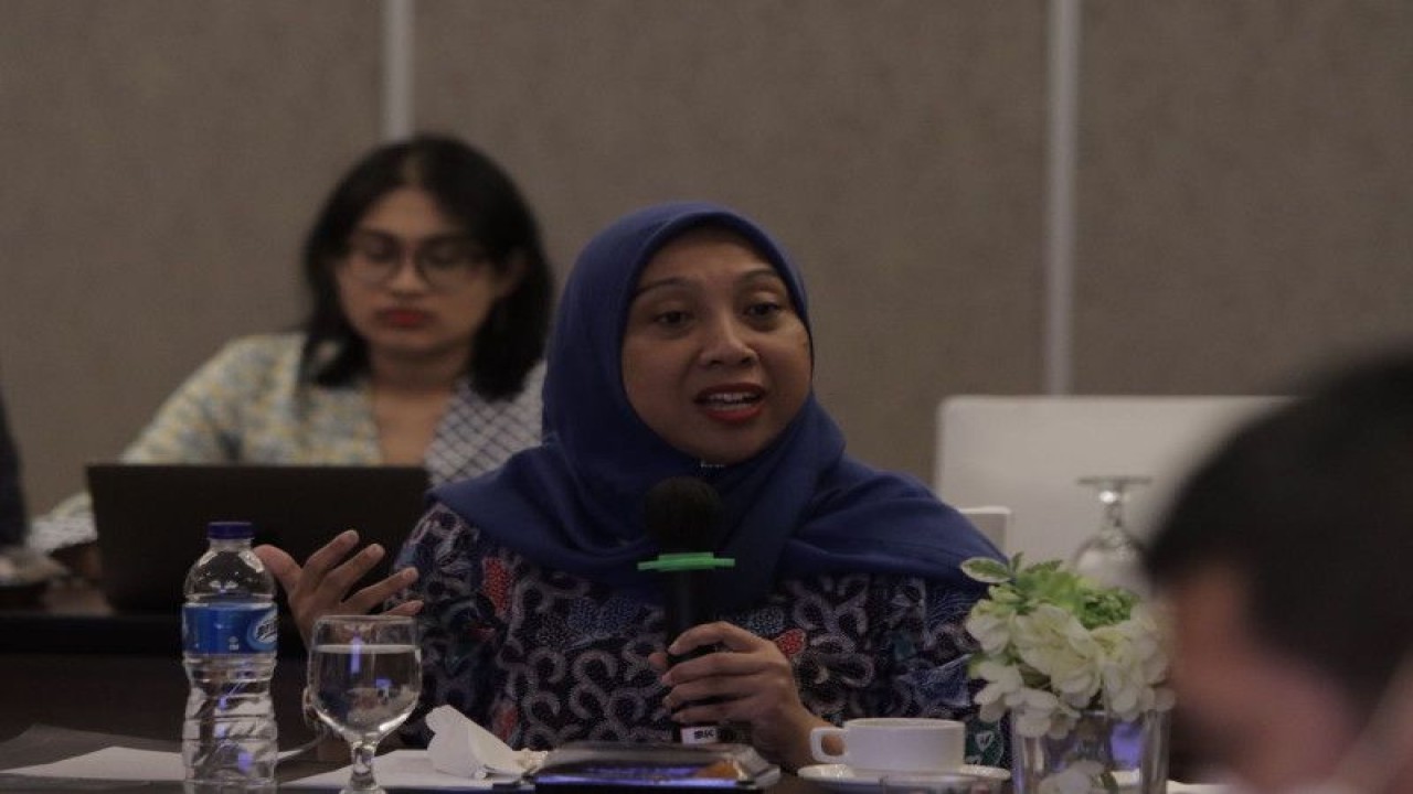 Deputi Bidang Perlindungan Hak Perempuan KemenPPPA Ratna Susianawati. (ANTARA/ HO-Kemen PPPA)