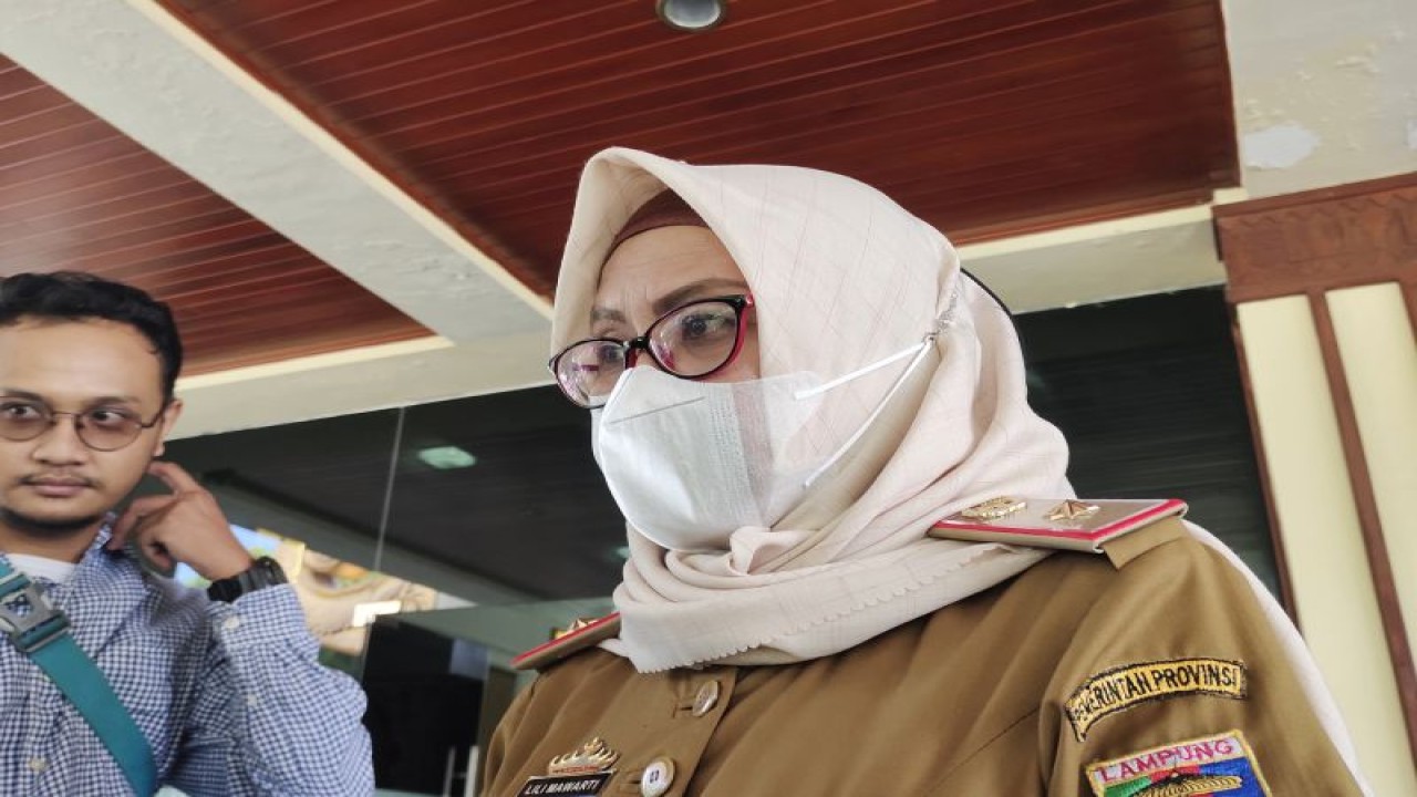 Kepala Dinas Peternakan dan Kesehatan Hewan Provinsi Lampung Lily Mawarti saat memberi keterangan. ANTARA/Ruth Intan Sozometa Kanafi.