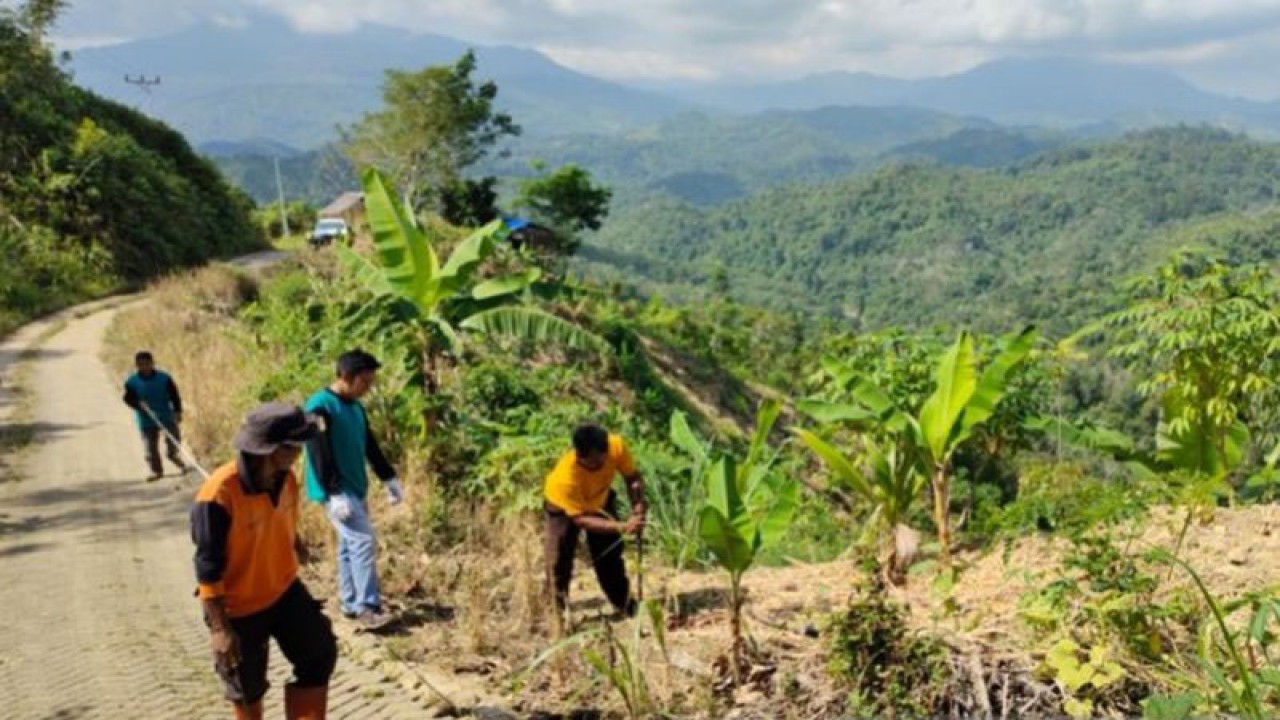 Petugas Dinas Lingkungan Hidup dan Perhubungan Hulu Sungai Tengah (DLHP HST) melakukan pematokan rencana penanaman di kawasan Pegunungan Meratus, Kecamatan Hantakan, Kabupaten HST, Kalimantan Selatan, Rabu (31/5/2023). ANTARA/Bayu Pratama S.