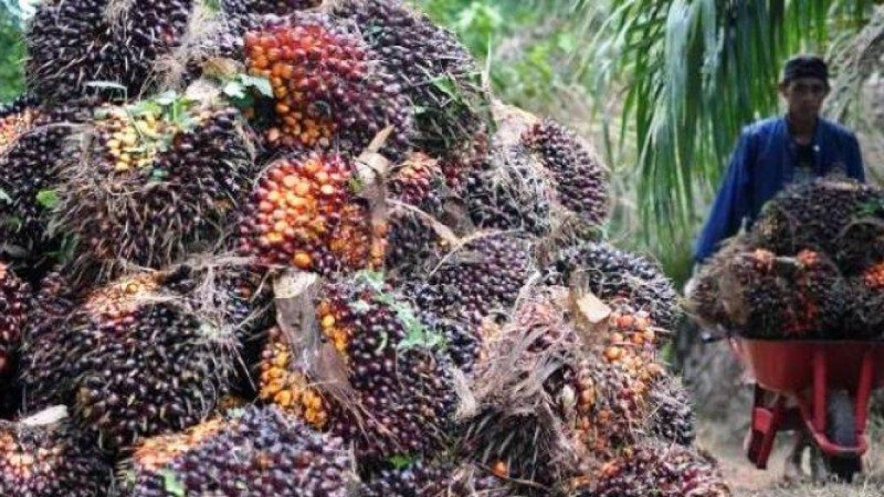dok.Antara.