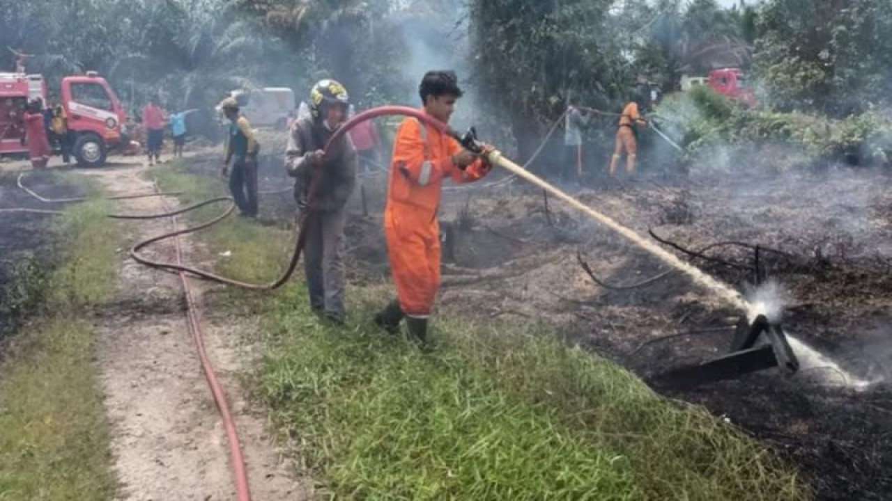 Dokumentasi. Petugas gabungan saat memadamkan api di salah satu lahan di Kotawaringin Barat, Rabu (24/5/2023). (ANTARA/HO-Istimewa.)