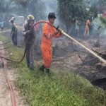Dokumentasi. Petugas gabungan saat memadamkan api di salah satu lahan di Kotawaringin Barat, Rabu (24/5/2023). (ANTARA/HO-Istimewa.)-1685100926