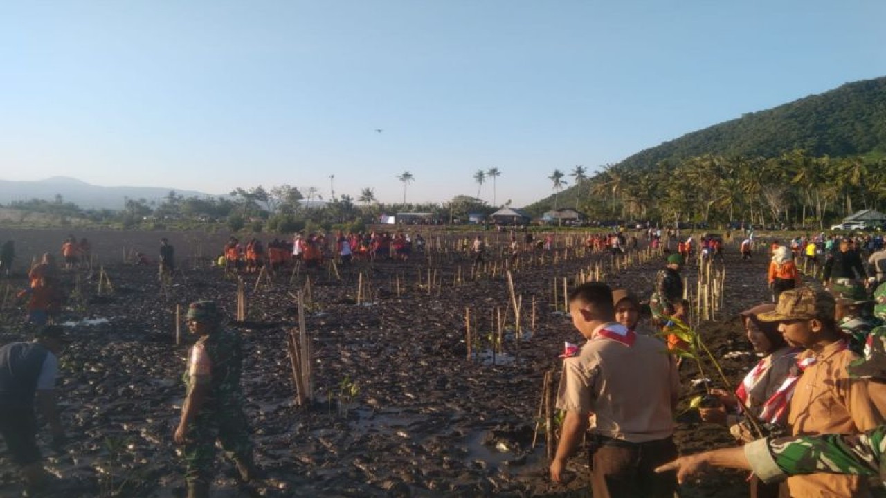 Acara penanaman mangrove di wilayah Pantai Kabupaten Dompu, Nusa Tenggara Barat, Senin (15/5/2023) (ANTARA/HO-Humas Polres Dompu)