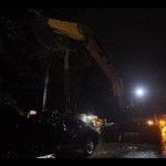 Dua warga Bengkulu meninggal akibat pohon tumbang-1683623536