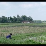 Foto arsip. Kawasan pertanian di wilayah Kabupaten Malang, Jawa Timur. (ANTARA/Vicki Febrianto)-1684229164