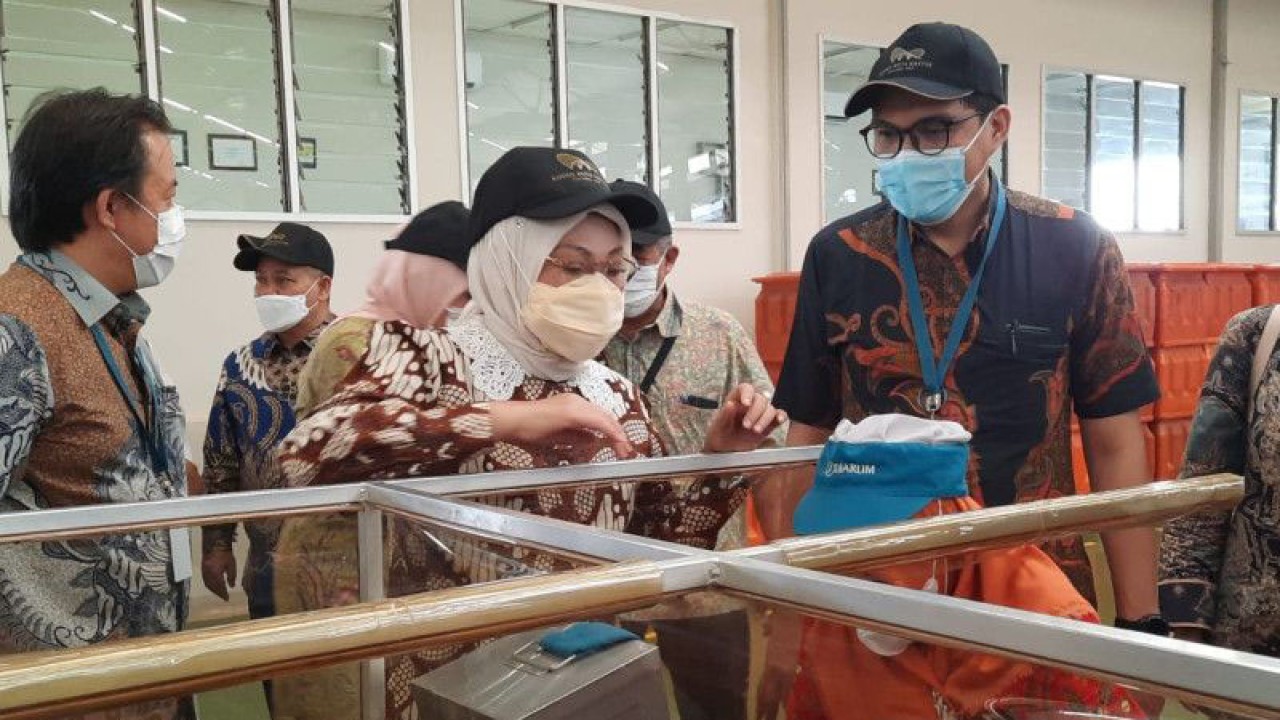 Menteri Ketenagakerjaan (Menaker) RI Ida Fauziyah mengunjungi tempat produksi (brak) rokok di Desa Karangbener, Kecamatan Bae, Kabupaten Kudus, Jawa Tengah, Rabu (31/5/2023). (FOTOANTARA/Akhmad Nazaruddin Lathif)