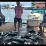 Ikan-1683721317