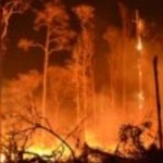 Ilustrasi - Perisitwa kebakaran hutan dan lahan di NTT. (ANTAR/HO-BPBD Provinsi NTT)-1683532439