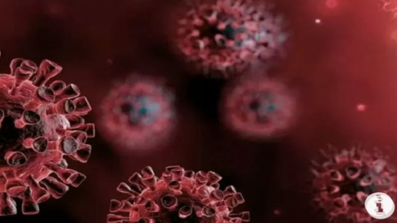 Ilustrasi- virus corona. (ANTARA/HO)