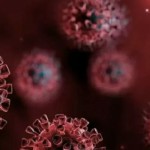 Ilustrasi- virus corona. (ANTARA/HO)-1684828023