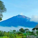 Jalur pendakian Gunung Kerinci kembali dibuka, Selasa (9/5/2023). (ANTARA/HO-IST)-1683617929
