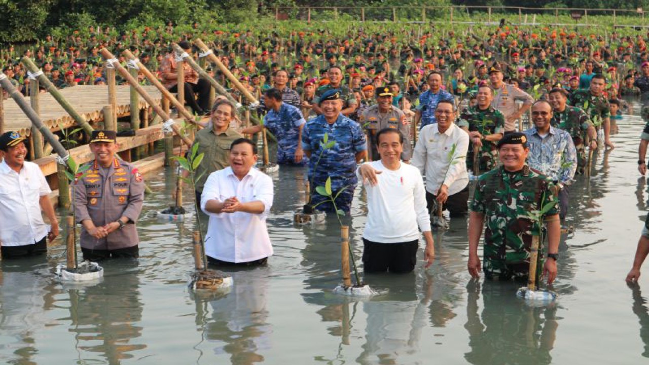 Presiden Joko Widodo "nyemplung" untuk menanam pohon mangrove dalam acara Puncak Penanaman Mangrove Nasional di Taman WIsata Alam (TWA) Angke Kapuk, Jakarta pada Senin (15/5/2023) (ANTARA/Desca Lidya Natalia)