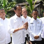 Joko Widodo-1684311838
