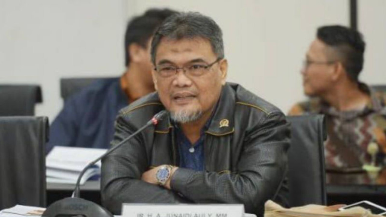 Anggota Komisi XI DPR RI Junaidi Auly di Jakarta, Senin (15/5/2023). (ANTARA/HO-DPR RI)