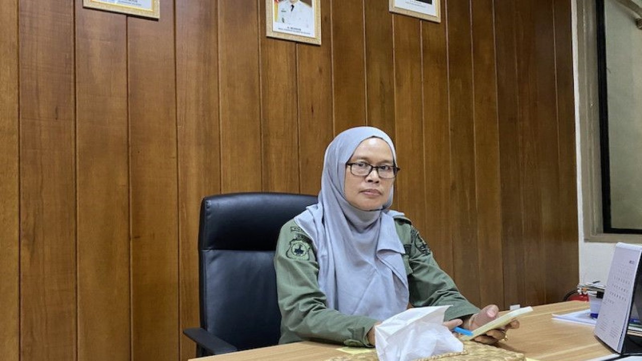 Kepala Dinas Kehutanan (Kadishut) Provinsi Kalimantan Selatan (Kalsel) Fathimatuzzahra saat dikonfirmasi di Banjarbaru, Kalimantan Selatan, Selasa (30/5/2023). (ANTARA/Tumpal Andani Aritonang)