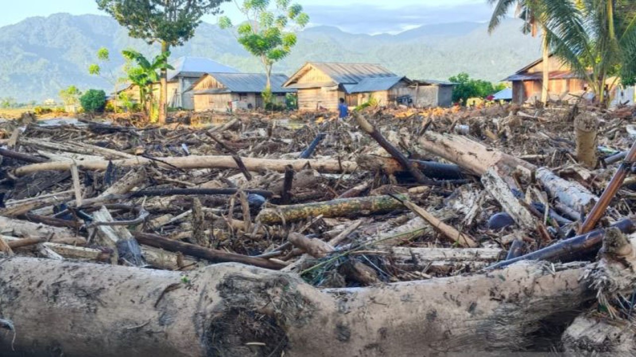 Tumpukan material kayu yang terseret banjir di Desa Balinggi Kecamatan Balinggi, Kabupaten Parigi Moutong, Sulawesi Tengah, Selasa (30/5/2023). ANTARA/HO-BPBD Parigi Moutong