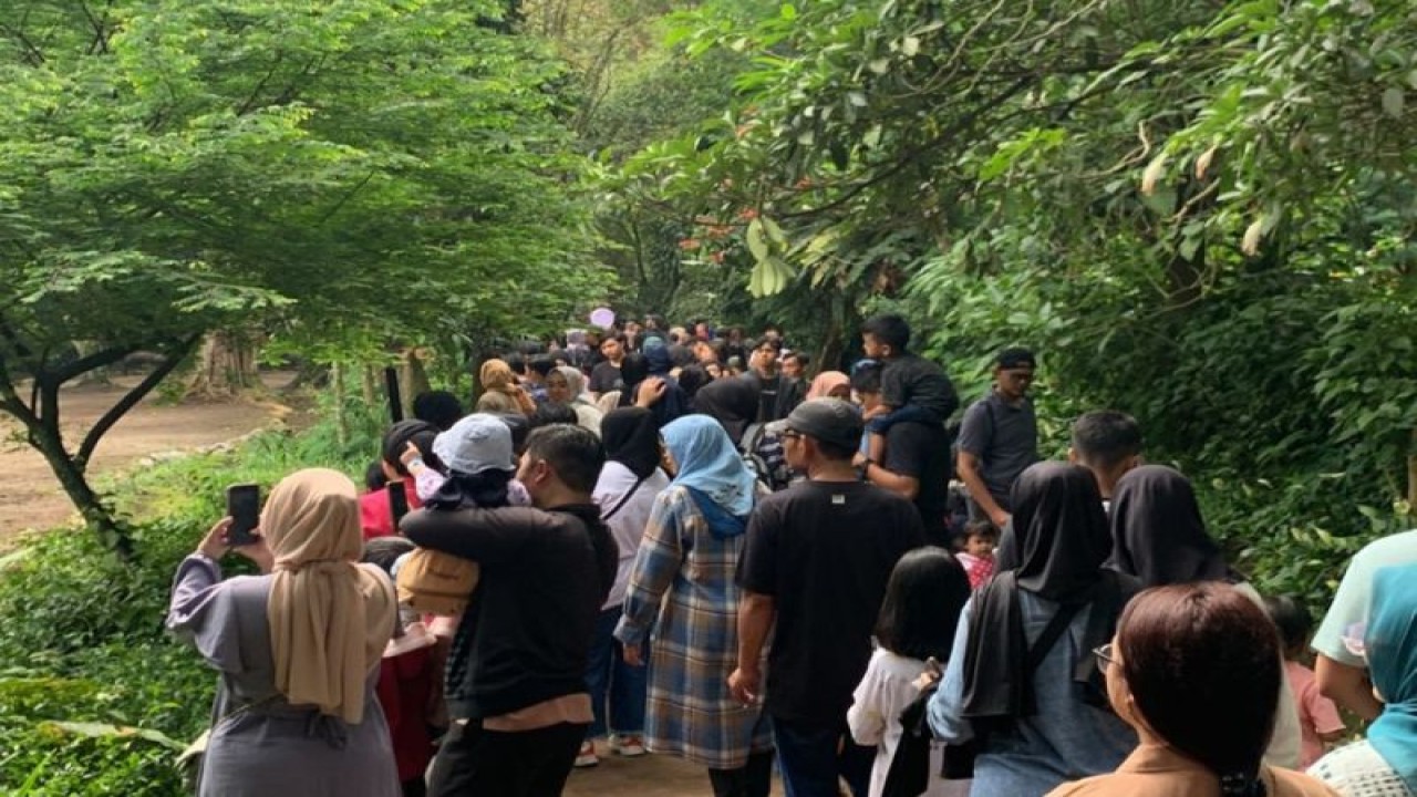 Arsip: Suasana Kebun Binatang Bandung saat libur Lebaran 2023. (ANTARA/HO Kebun Binatang Bandung)