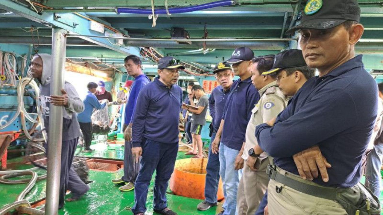 Proses pengiriman kerapu hidup ke Hongkong (ANTARA/Kasmonoi- Apriliansyah)
