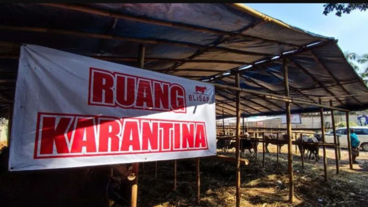 Arsip foto - Ruang Karantina milik pedagang hewan kurban di kawasan DR Sumarno, Jakarta Timur, Sabtu (2/7/2022) ANTARA/Fahrul Marwansyah/aa