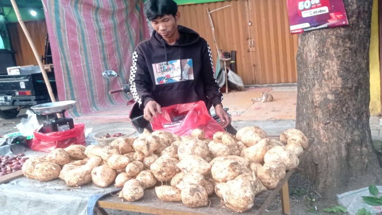 Seorang pedagang subuh di Pasar Rangkasbitung Kabupaten Lebak menjual hasil komoditas palawija jenis ubi jalar dengan harga Rp6.000/kg.ANTARA/Mansur